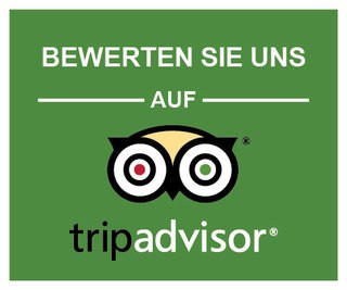 TripAdvisor  icon